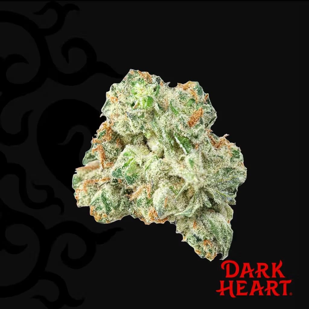 Dark Heart