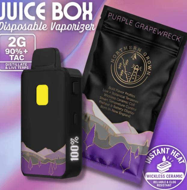 Northern Grown Purple Grapewreck | 2g Disposable