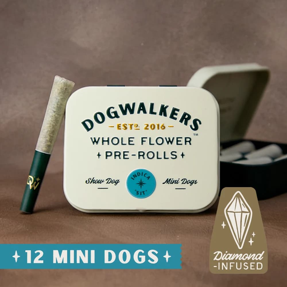 DOGWALKERS