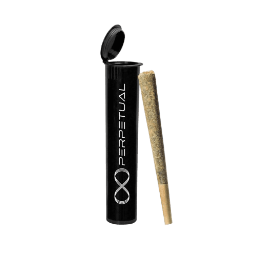 Perpetual Pre-Roll - Garlic Juice