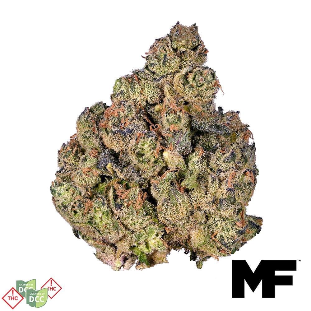 Modern Flower