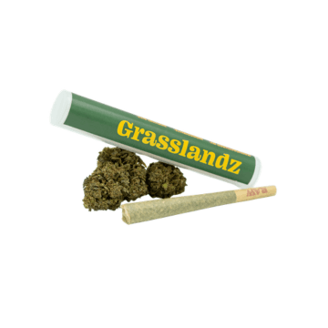 Grasslandz