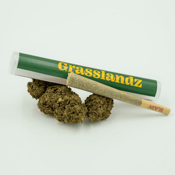 Grasslandz Glue 31 | Pre-Roll | 1G