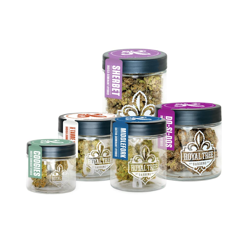 Royal Tree Gardens Watermelon Gelato