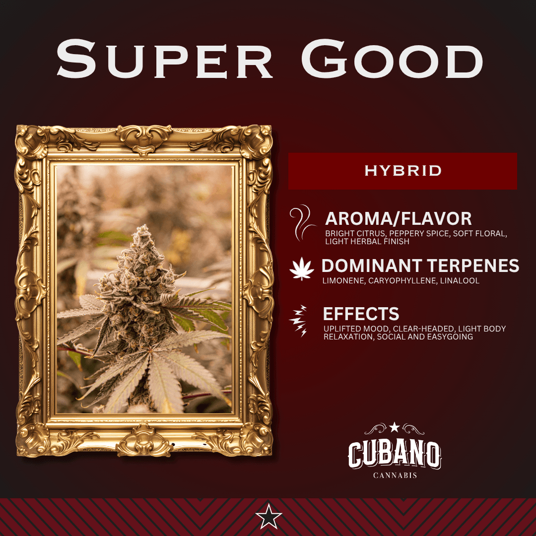 Cubano Cubano: Prepacked Flower (Super Good)