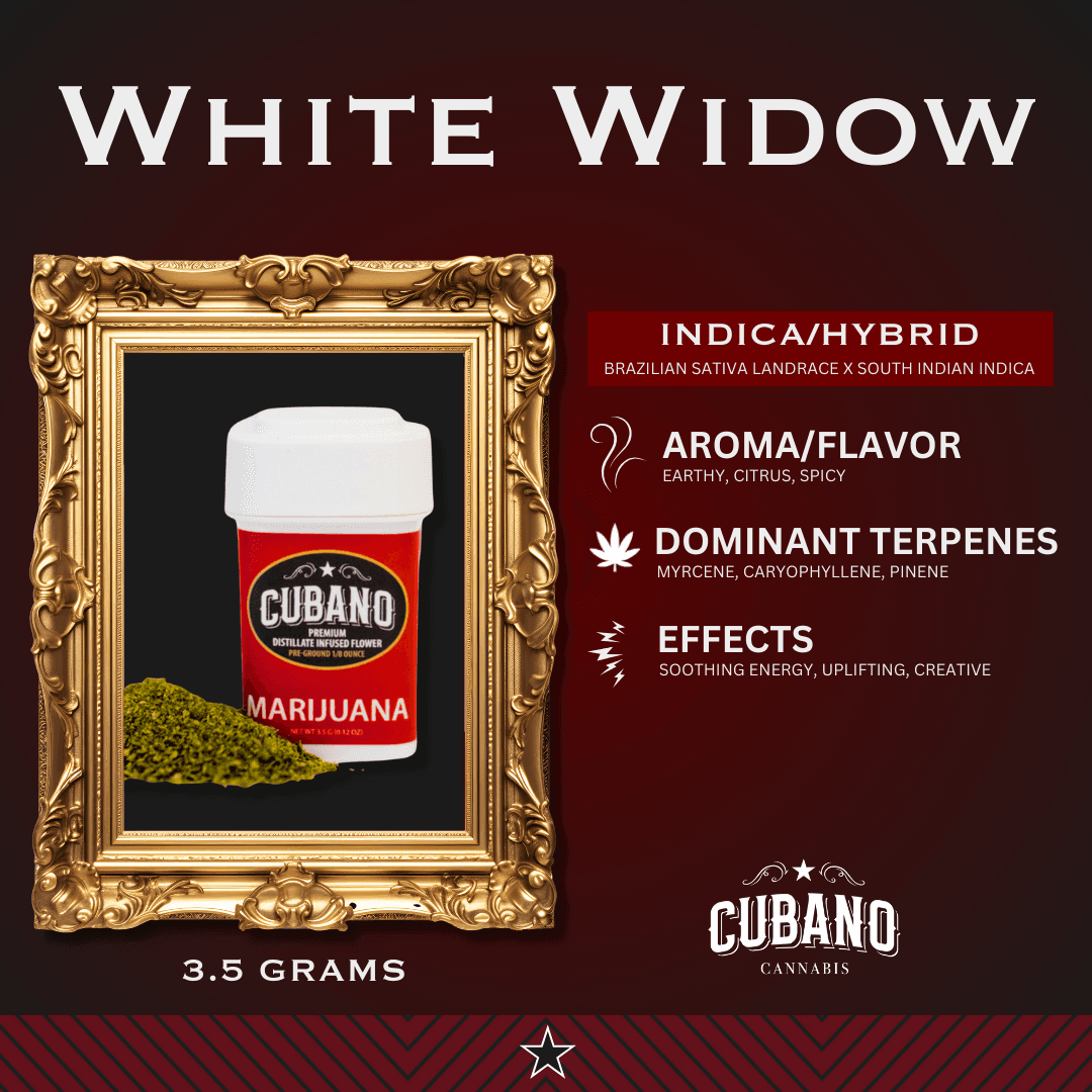 Cubano Cannabis White Widow