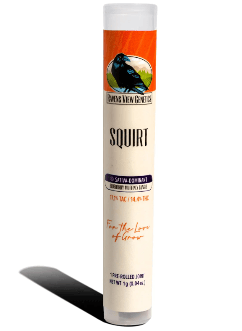 Ravens View Genetics Squirt | Single