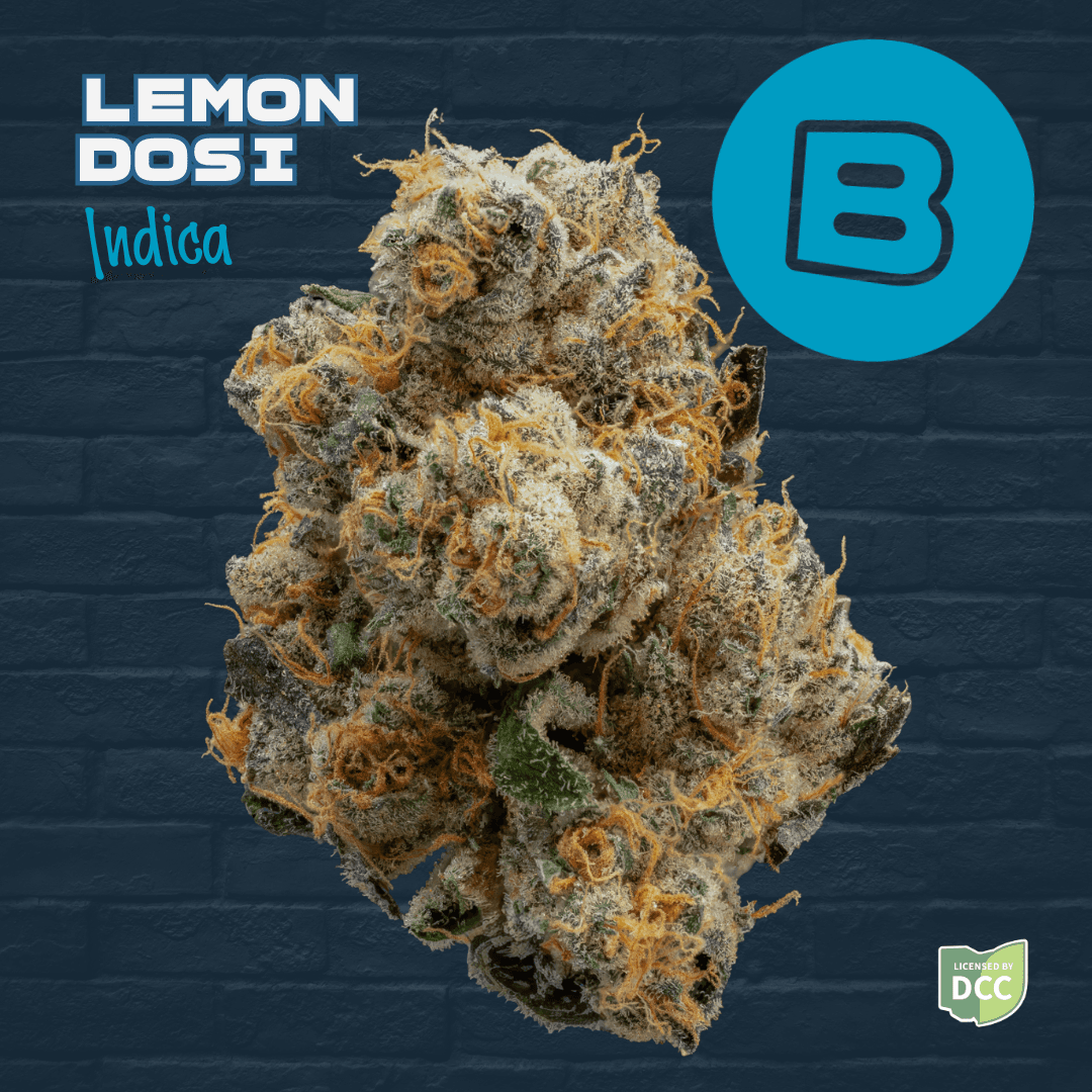 Buckeye Lemon Dosi