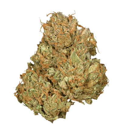 Orchid CBD