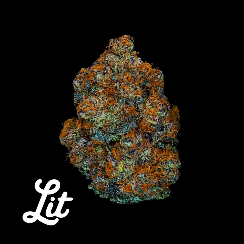 Lit Labs