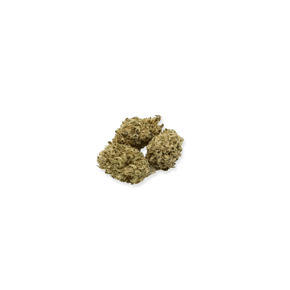 LOFTY BIPPED | 26% - 2 G