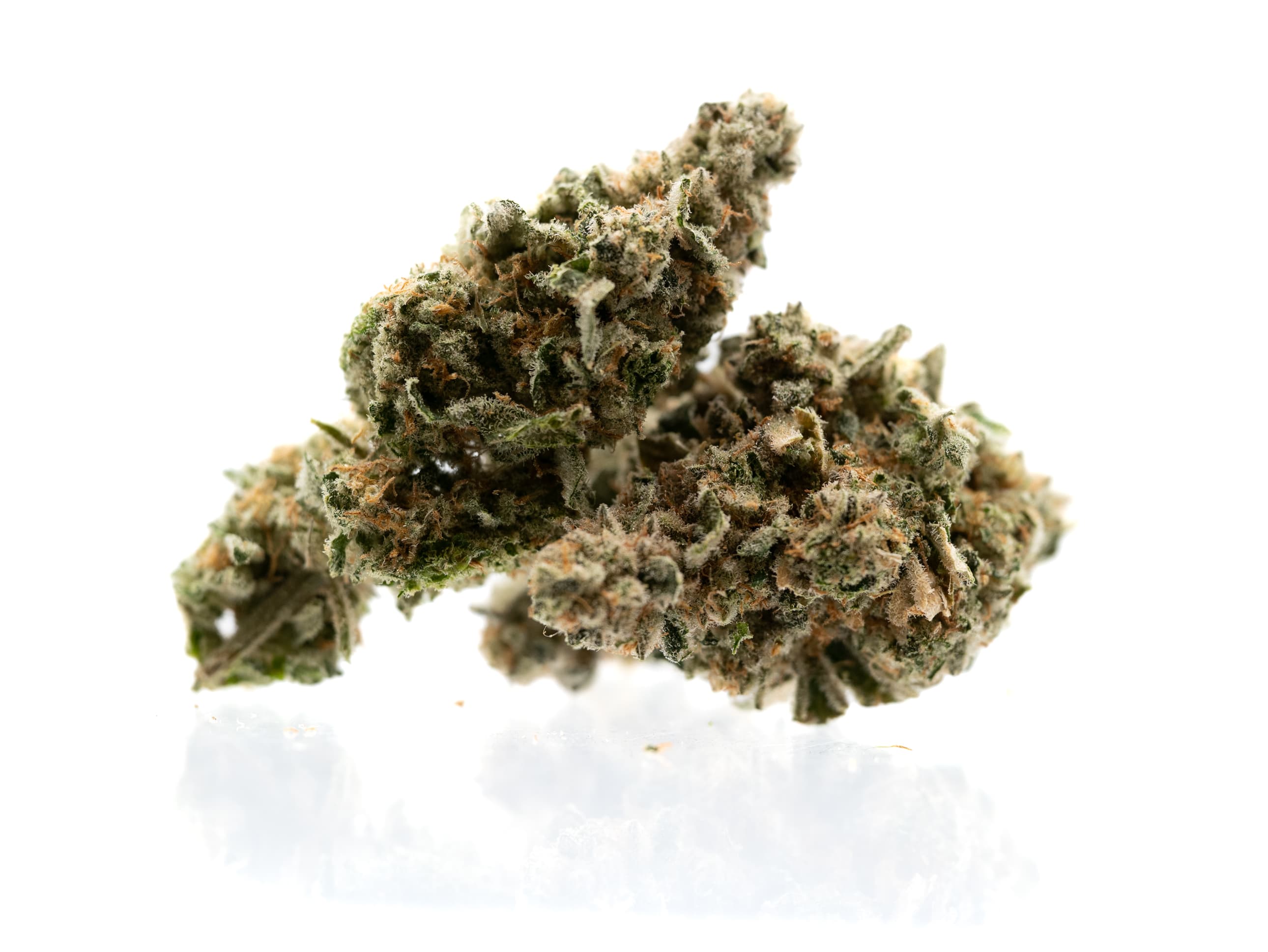 Cannanaut