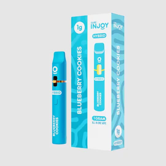 Injoy Cure Injoy - Disposable (H) Blueberry Cookies 2g