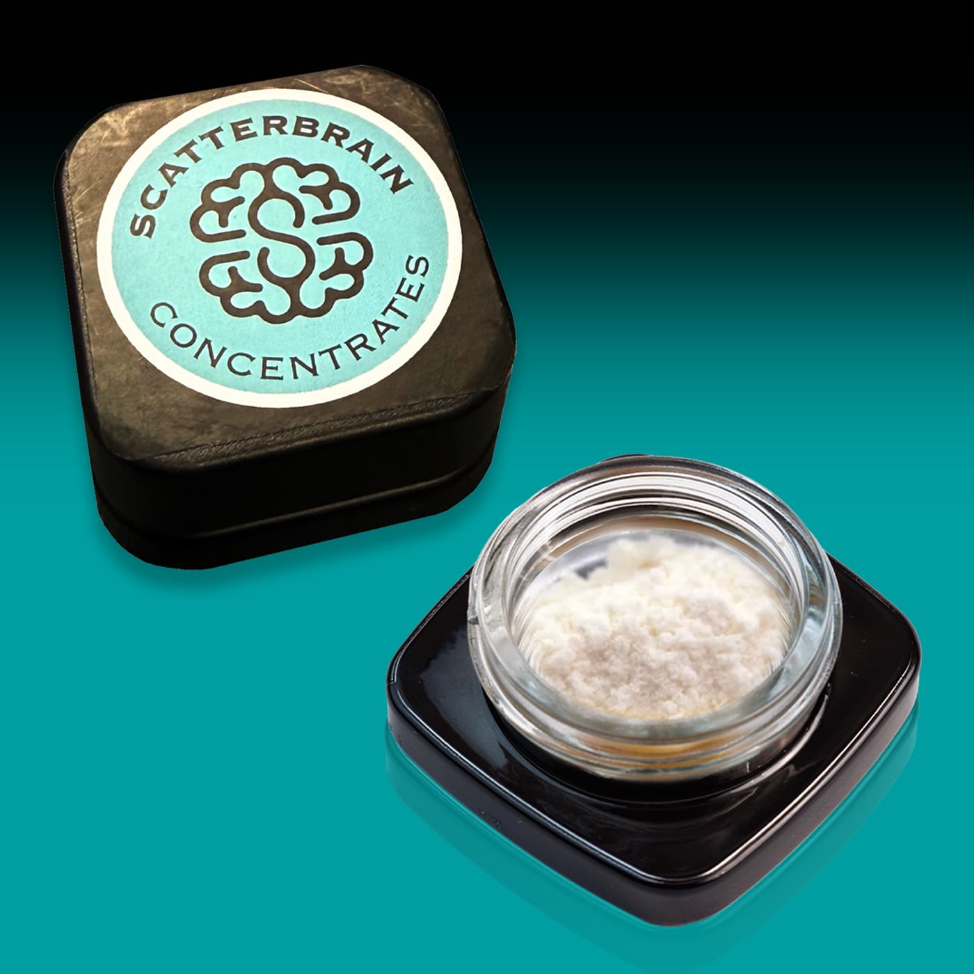 Scatterbrain Space Dust 1.0g