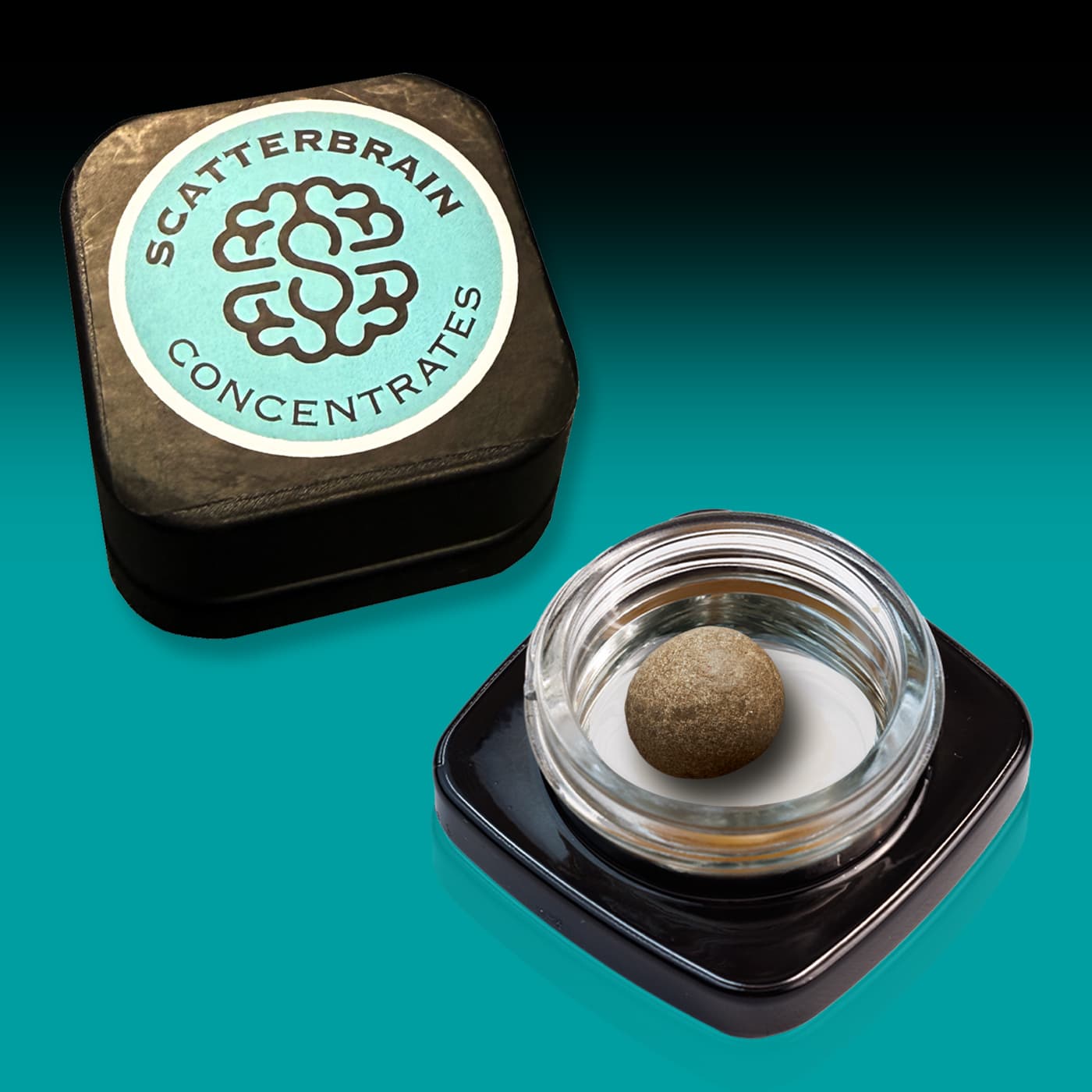 Scatterbrain GMO 2.0g Cured Temple Ball Hash