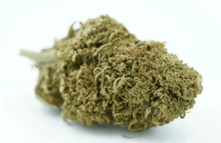Erva (HEMP)