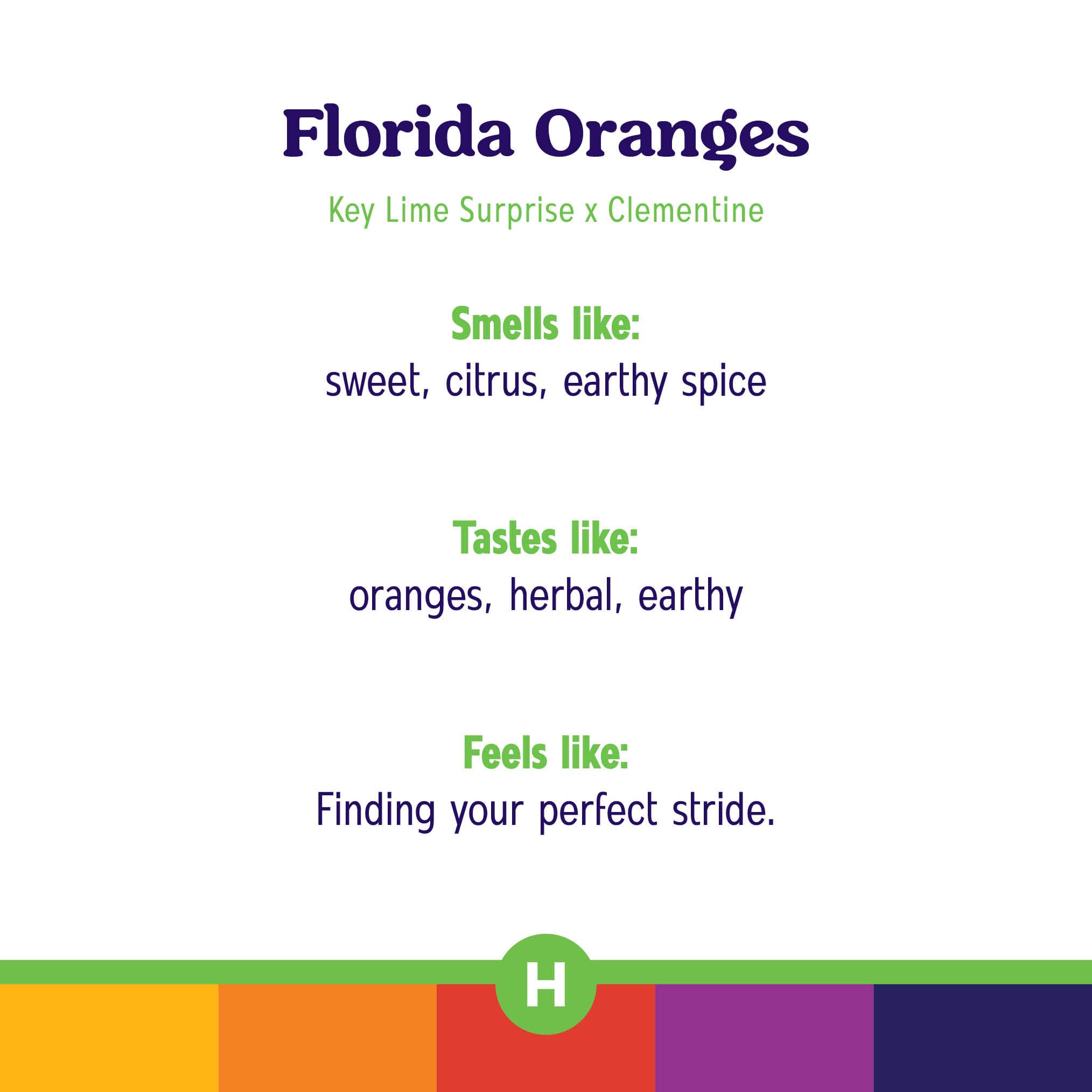 Roll One Florida Oranges Ground