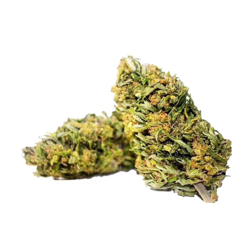 Erva (HEMP)