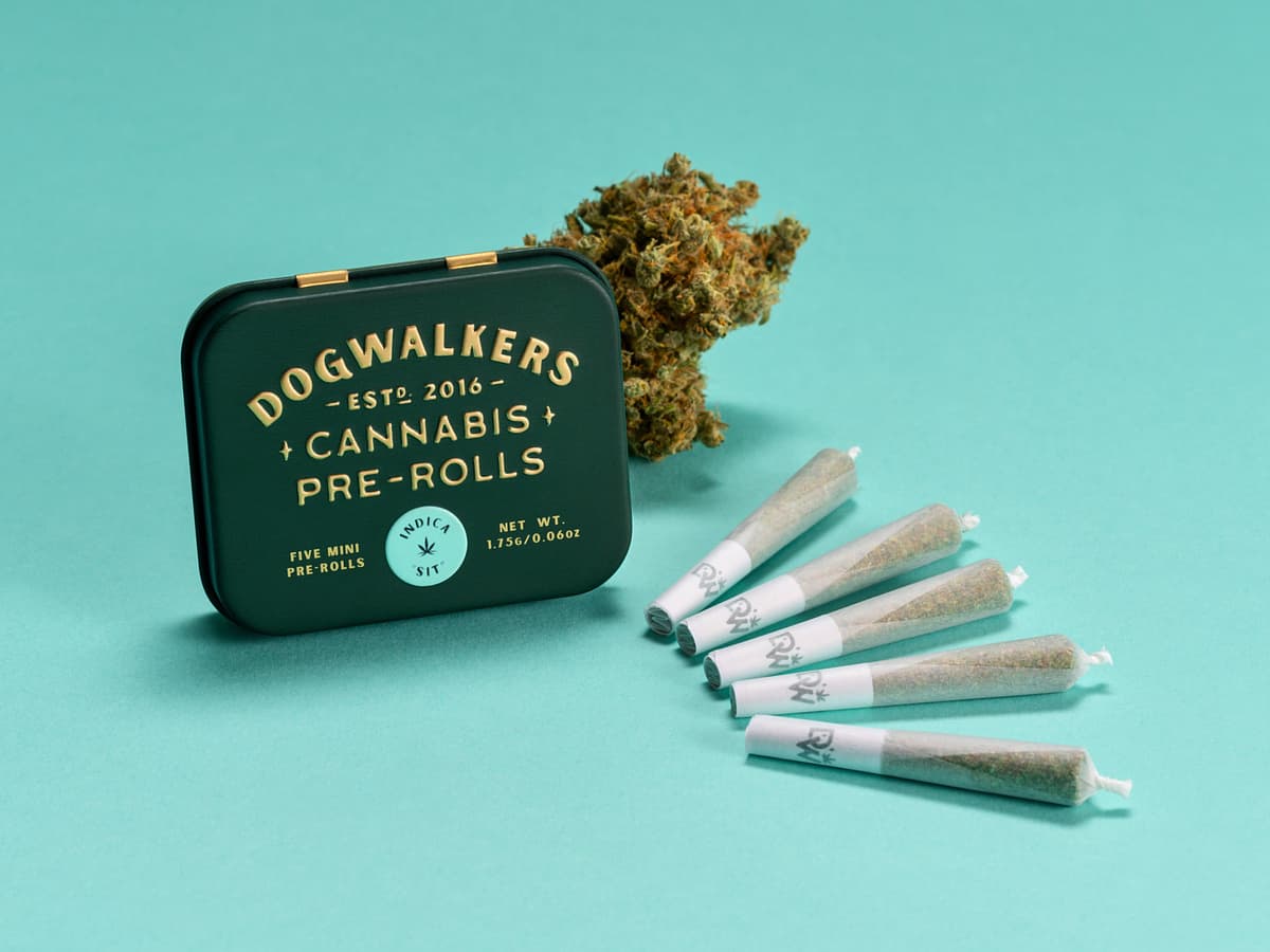 DOGWALKERS Tamarindo Pre-Roll 5-pack | 1.75g