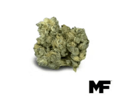 Modern Flower Apples & Bananas [14.15g]
