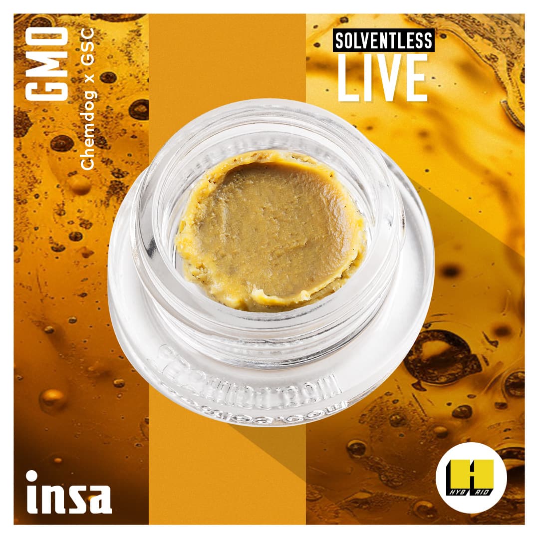 Insa Live Rosin - GMO