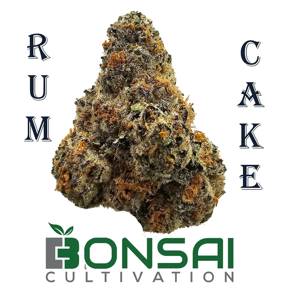Bonsai Cultivation Platinum Runtz