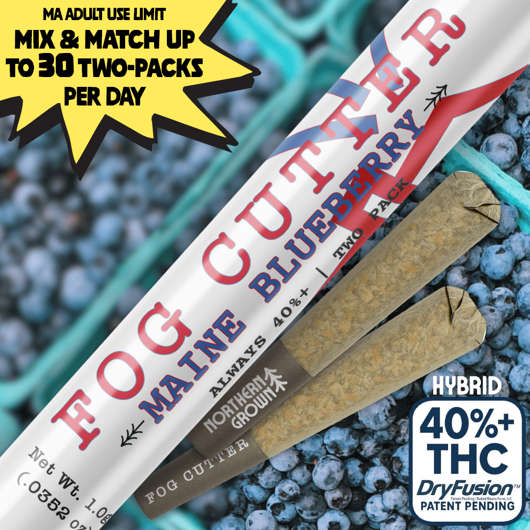Fog Cutter by Northern Grown Maine Blueberry | 0.5g Infused PreRoll 2 Pack