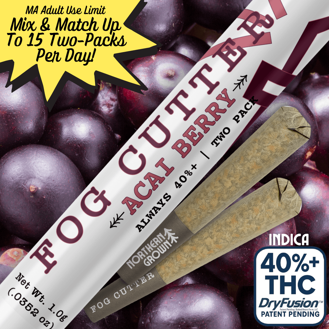 Fog Cutter Acai Berry (Infused) | .5g 2pk
