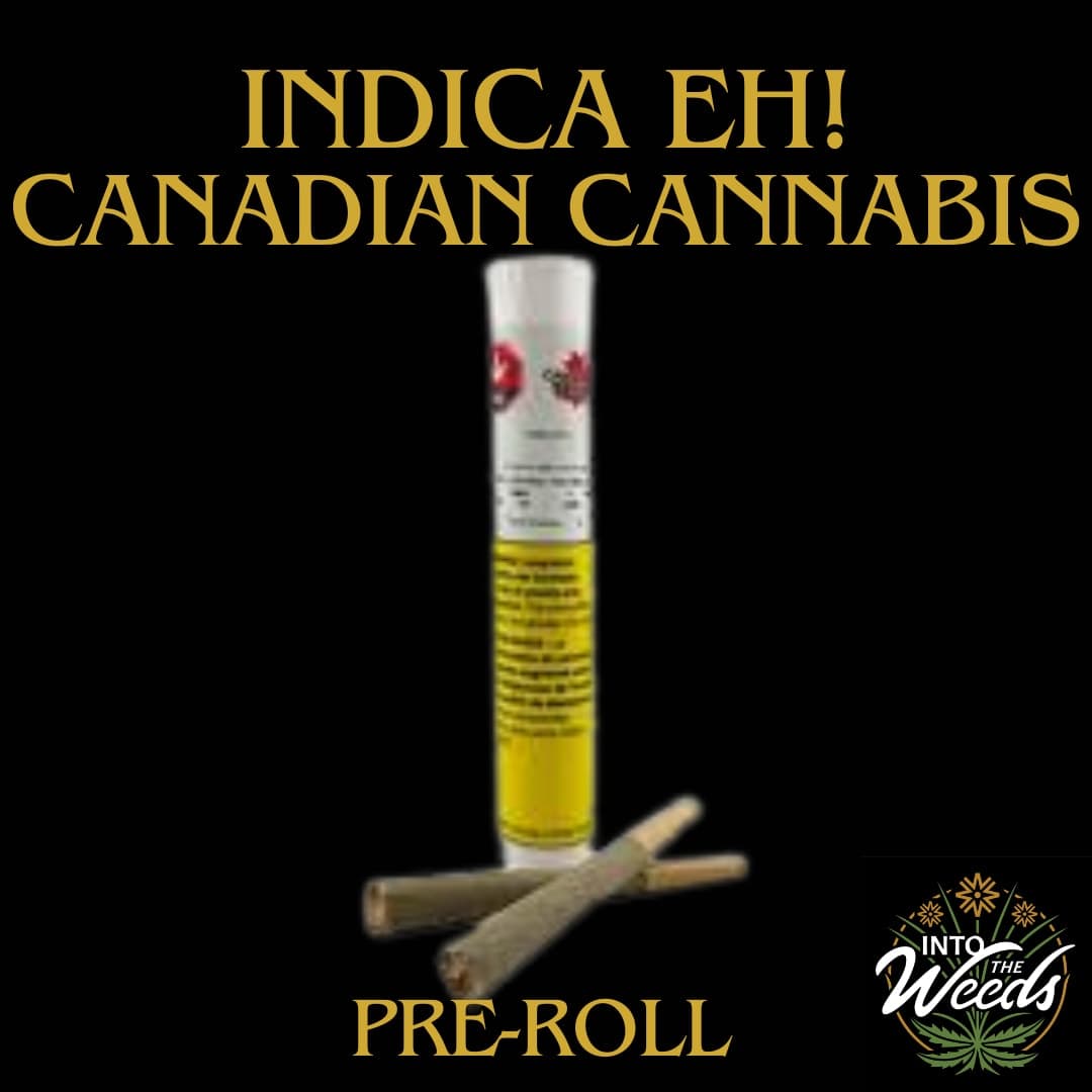 Canadian Cannabis Canadian Cannabis Indica Eh Prerolls 2x1g
