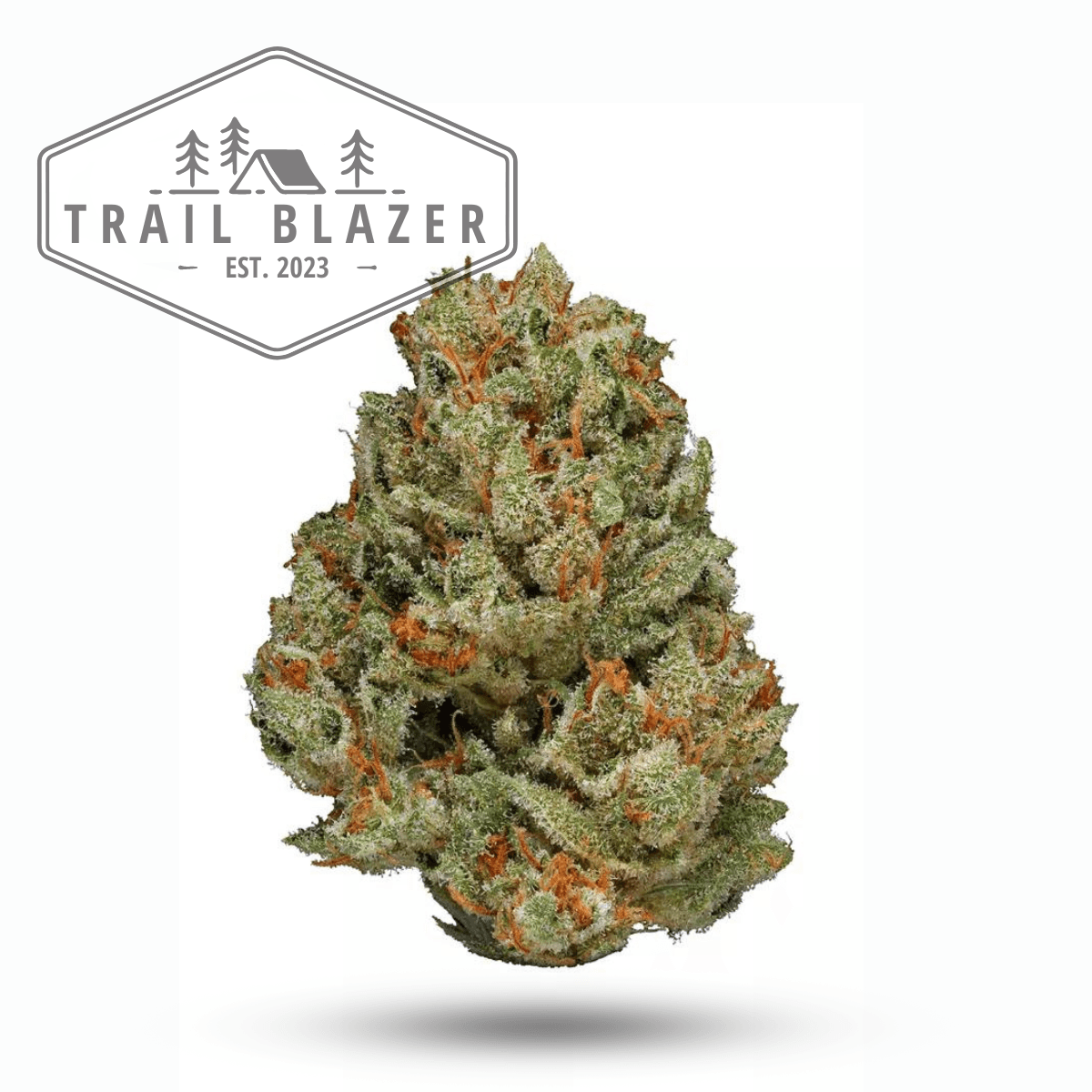 Trailblazer WiFi