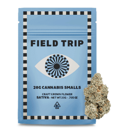 Field Trip Field Trip Smalls 20g Jungle Bird