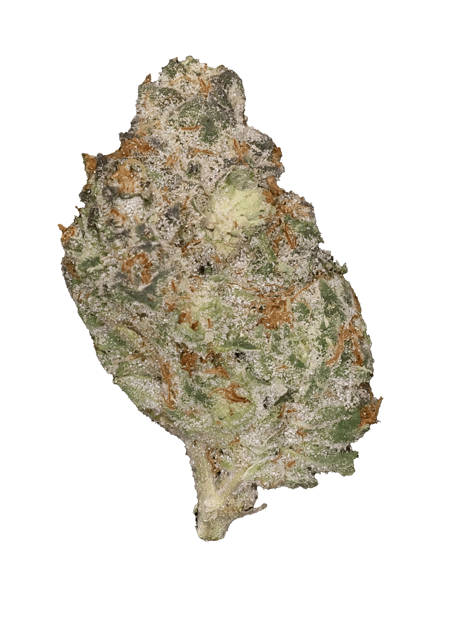 Green Med Pros Flower