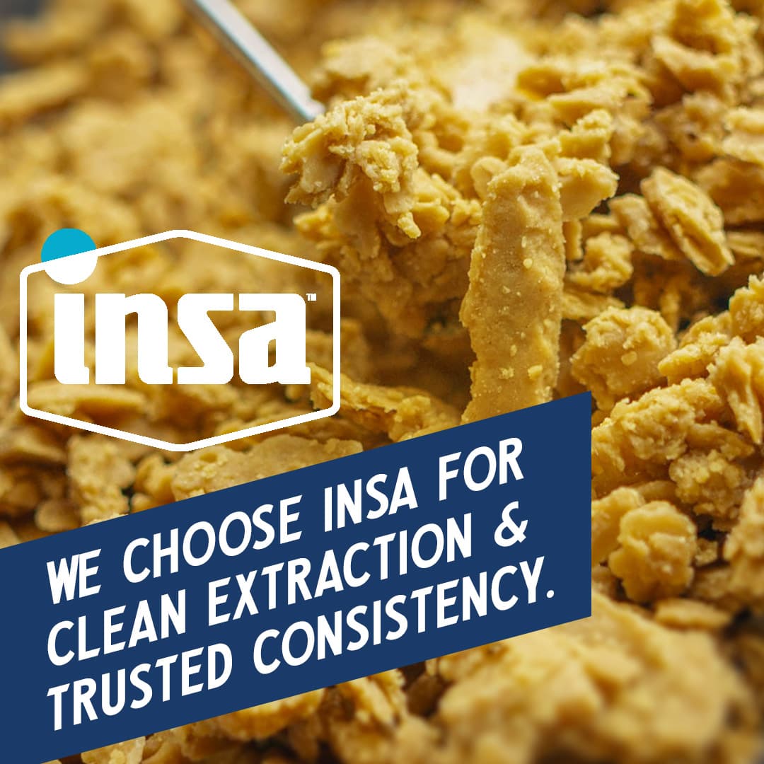 Insa