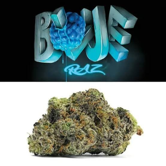 Cookies Blue Raz Flower [7g]