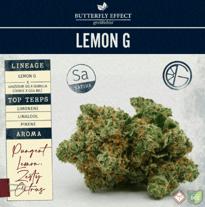 Butterfly Effect by Grow Ohio