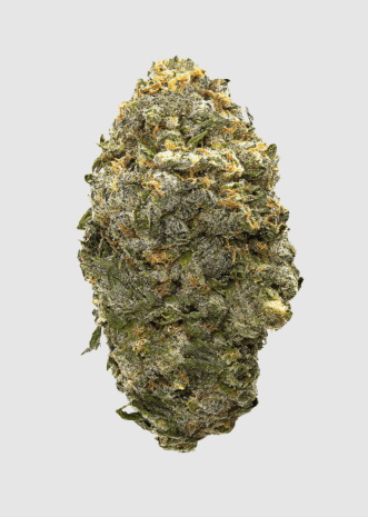 Greencraft