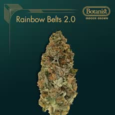 Botanist Rainbow Belts 2.0