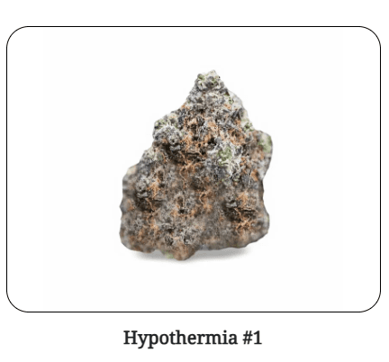 Shaka Shaka Flower 3.5g- Hypothermia #1
