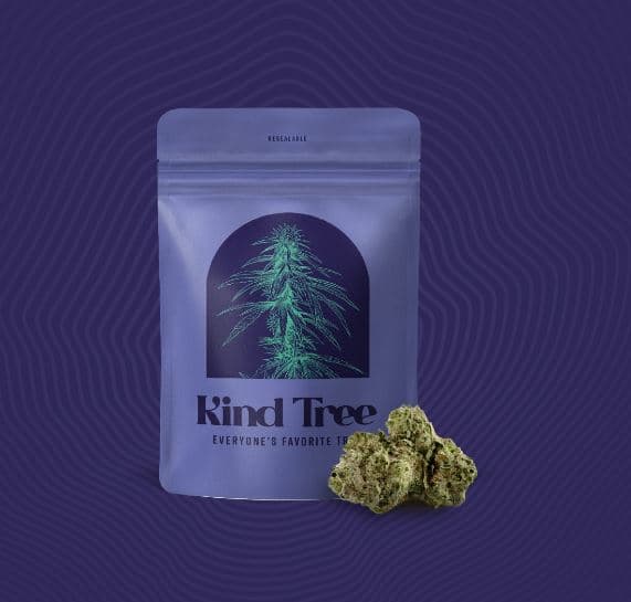 Kind Tree Durban Poison Flower