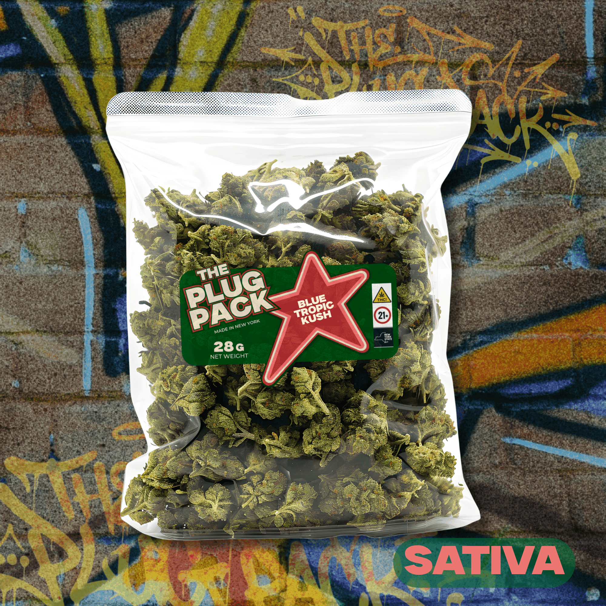 The Plug Pack Blue Tropic Kush - 28g