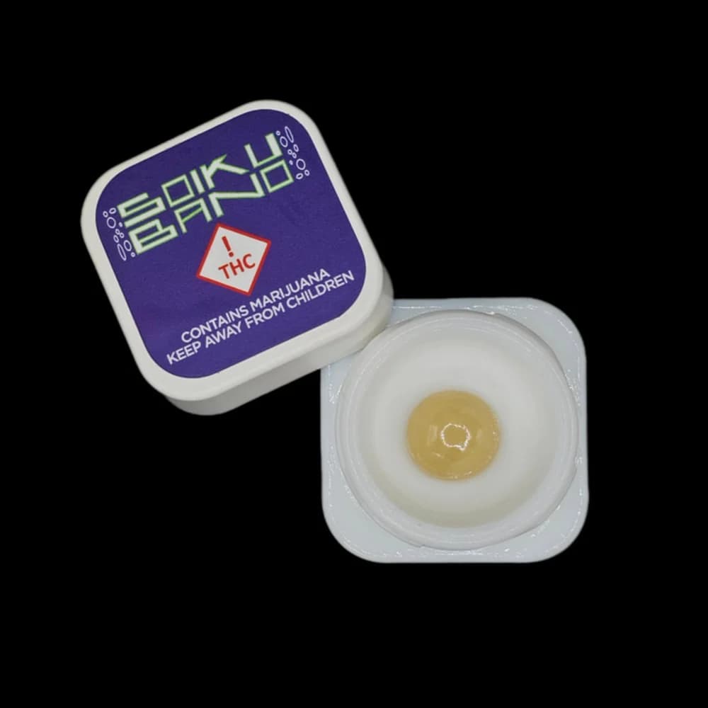 Soiku Bano Island Bee