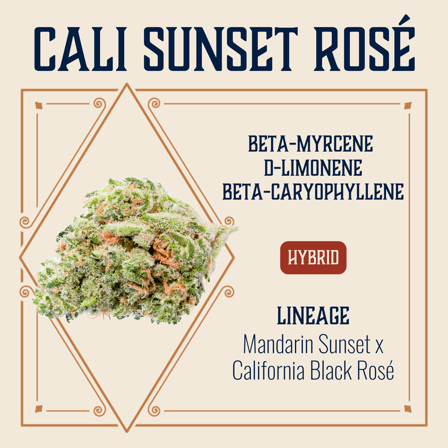 Elevate Missouri Cali Sunset Rose 3.5g