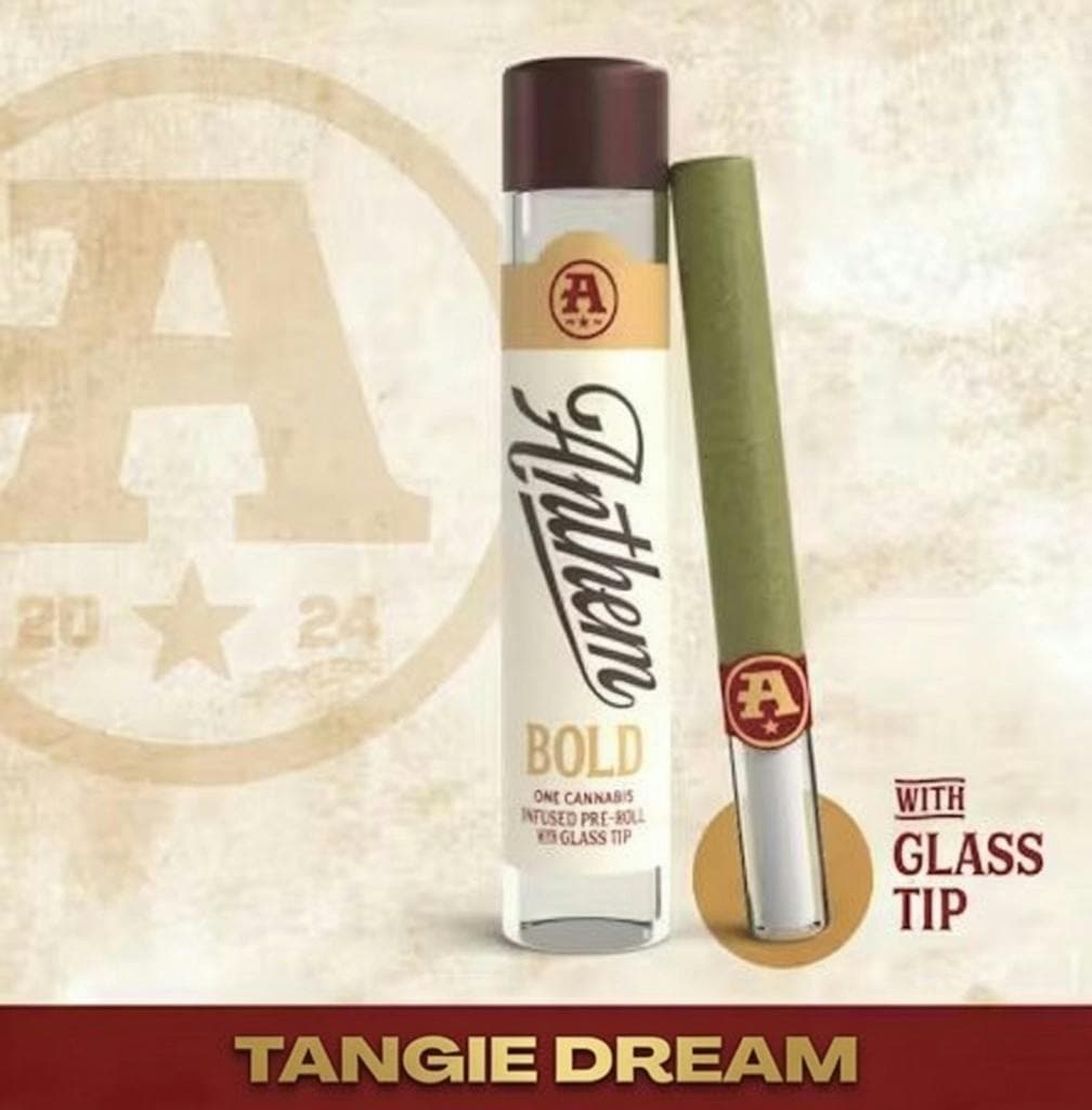Anthem Bold Glass Tip Infused Tangie Dream Pre-Roll 1g