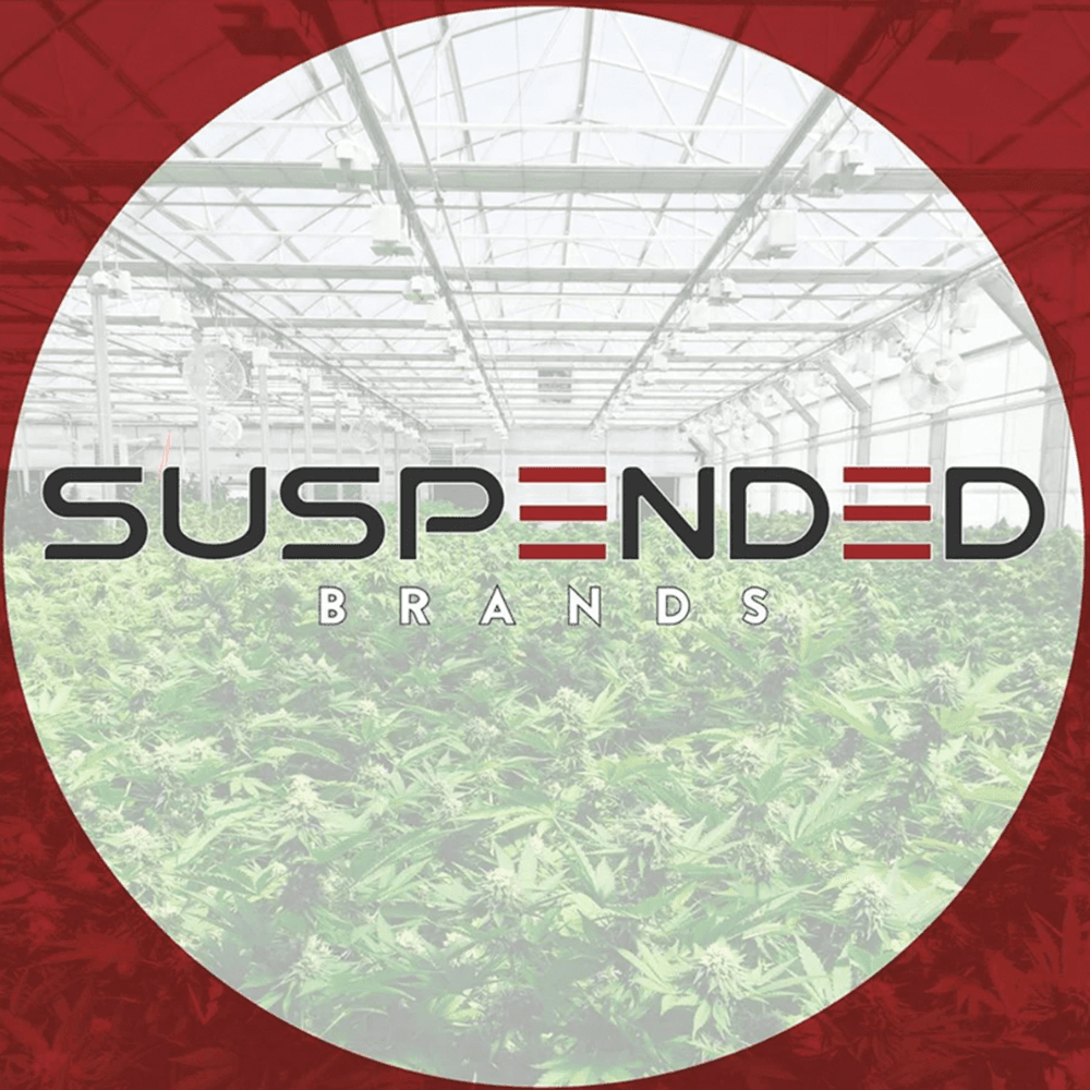 Suspended Brands Amarelo [1000mg]