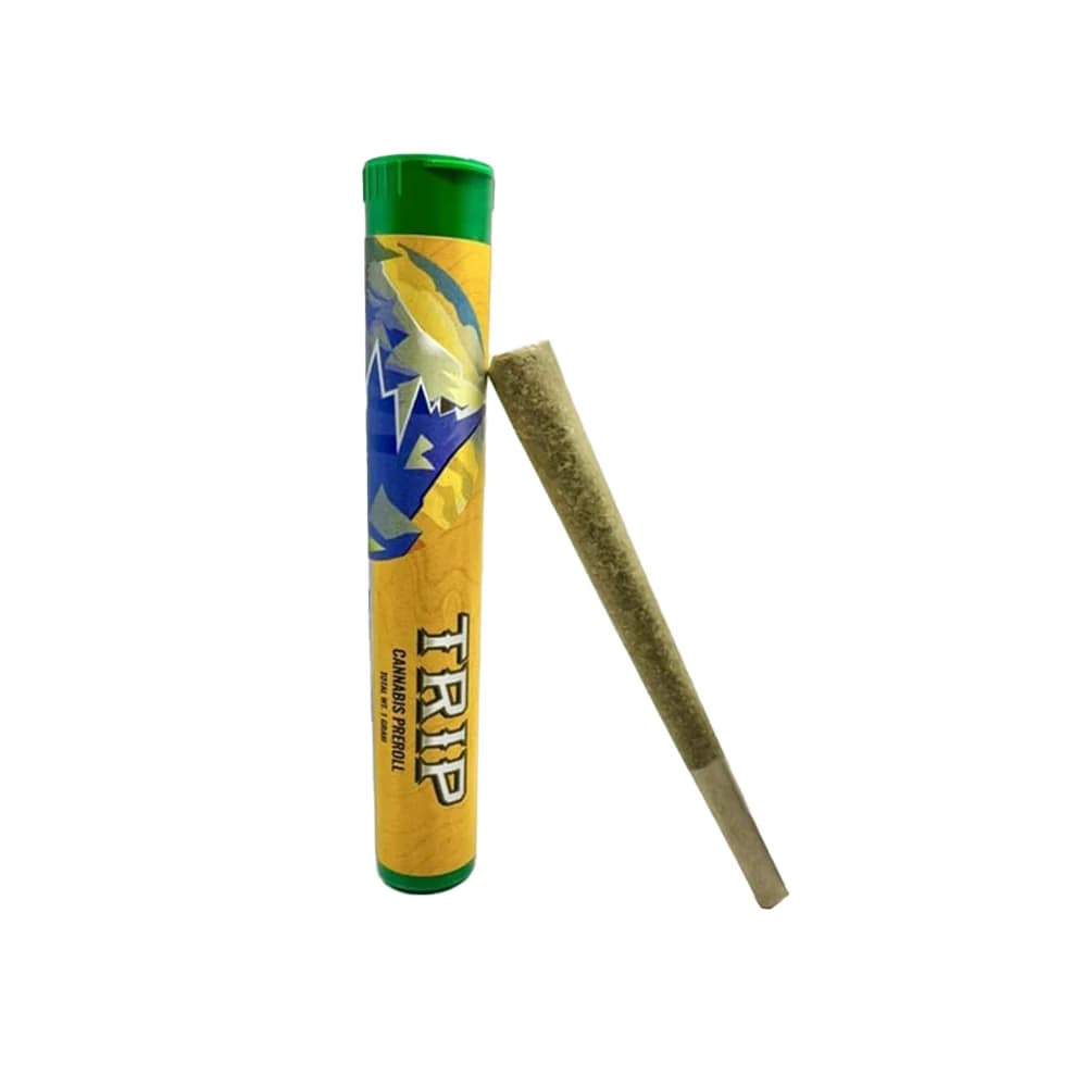 Trip Melted Strawberries Diamond Infused Pre-Roll 2-Pack | 1g