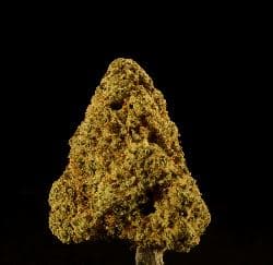 Prohibition Herb