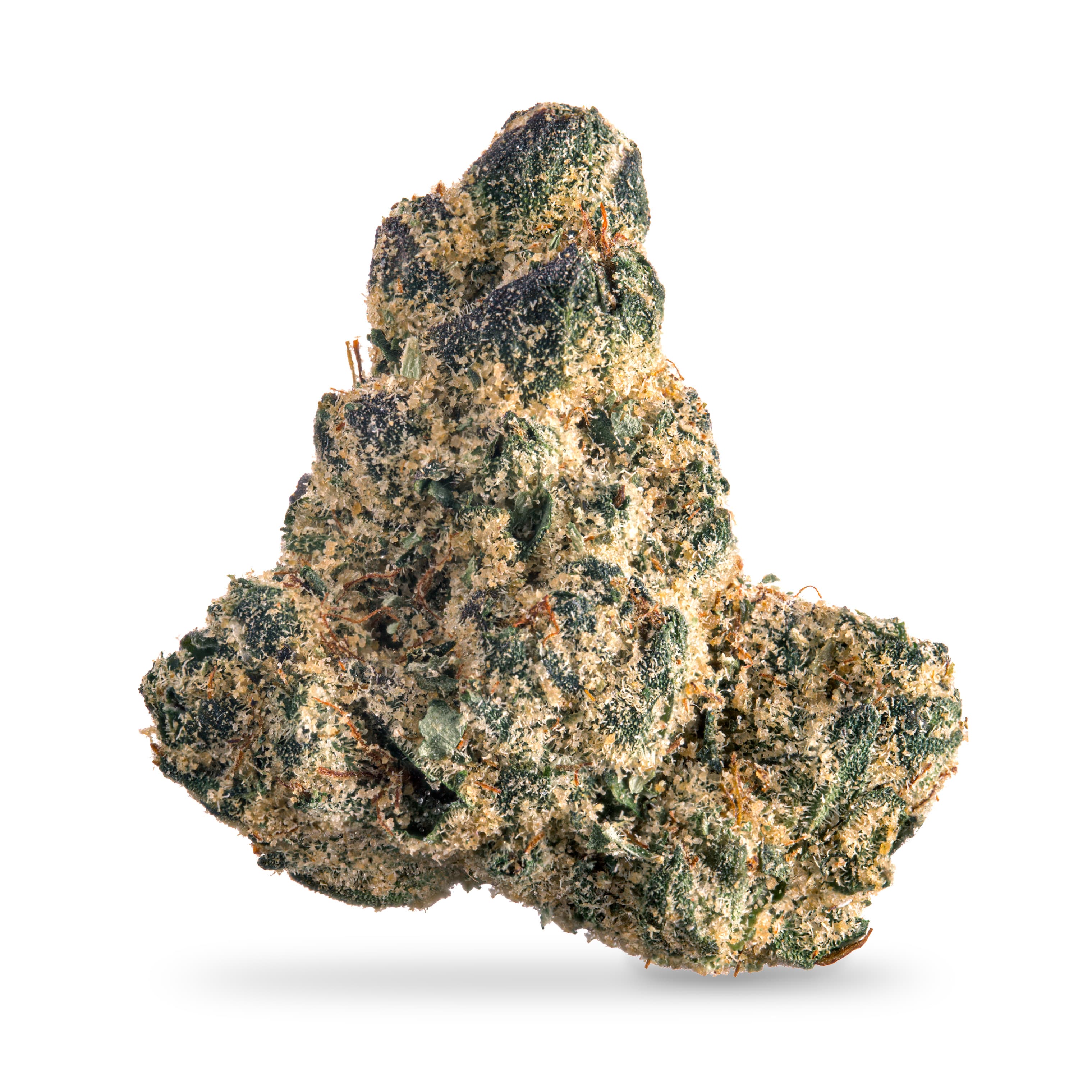 Prohibition 37 Concentrates