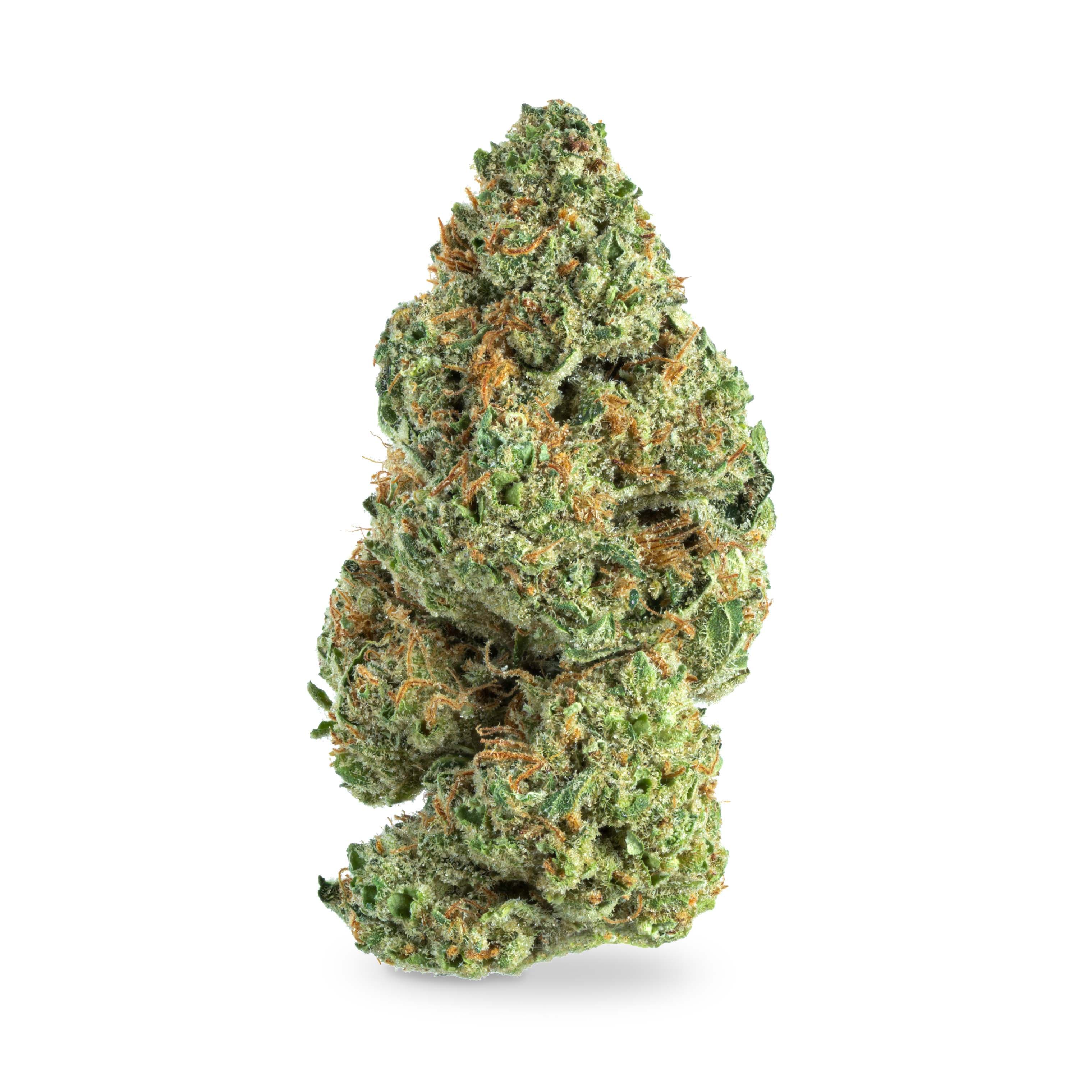 Chaaya Cannabis I-95