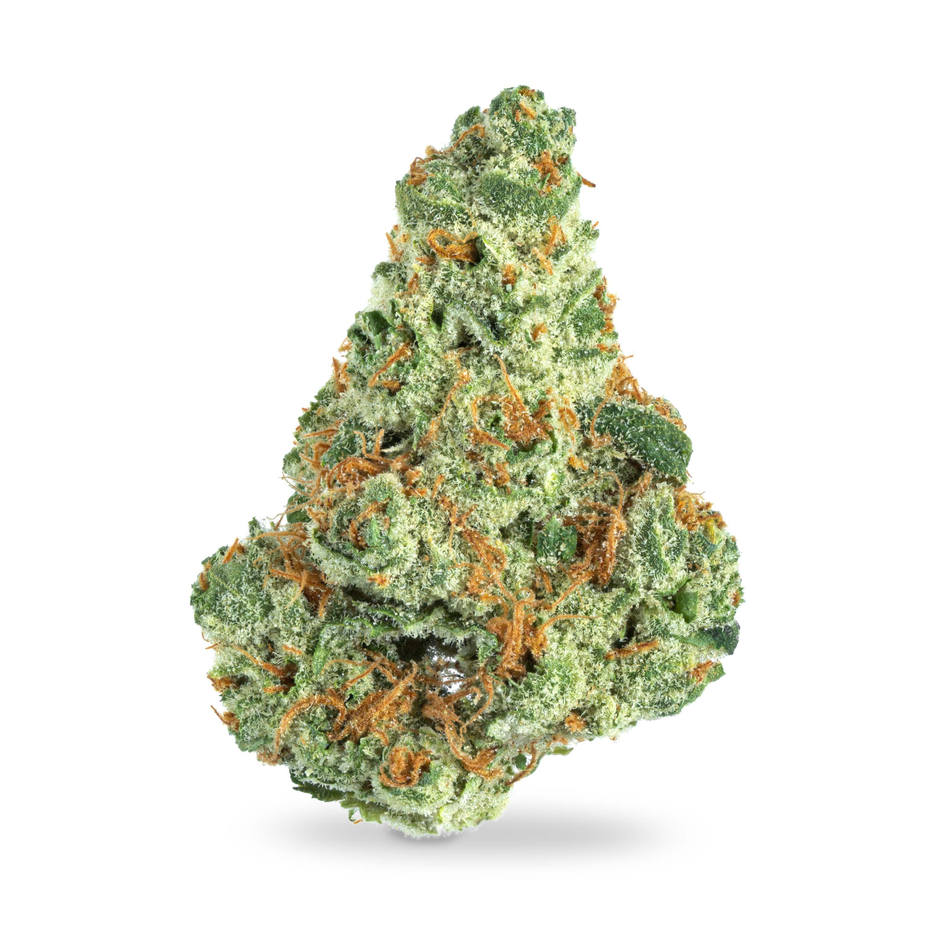 Chaaya Cannabis Maple Root