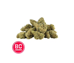 BC OZ Lemon Heads